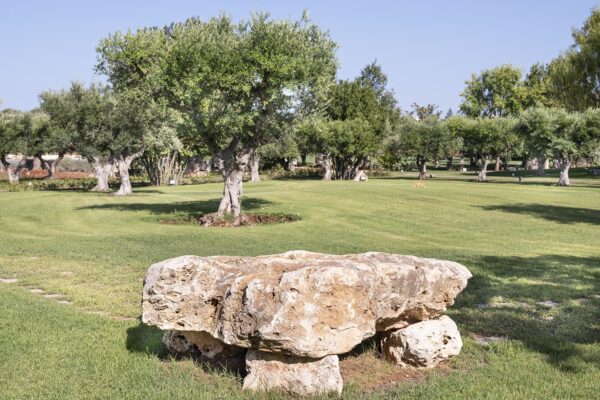 Acquafonda-piscina-spazi-verde-14