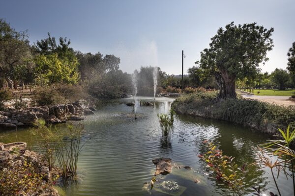 Acquafonda-piscina-spazi-verde-18