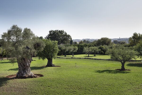 Acquafonda-piscina-spazi-verde-30